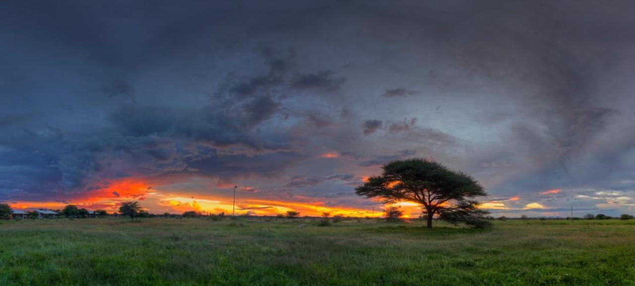 Khoi-Khoi Guesthouse Otavi Екстер'єр фото