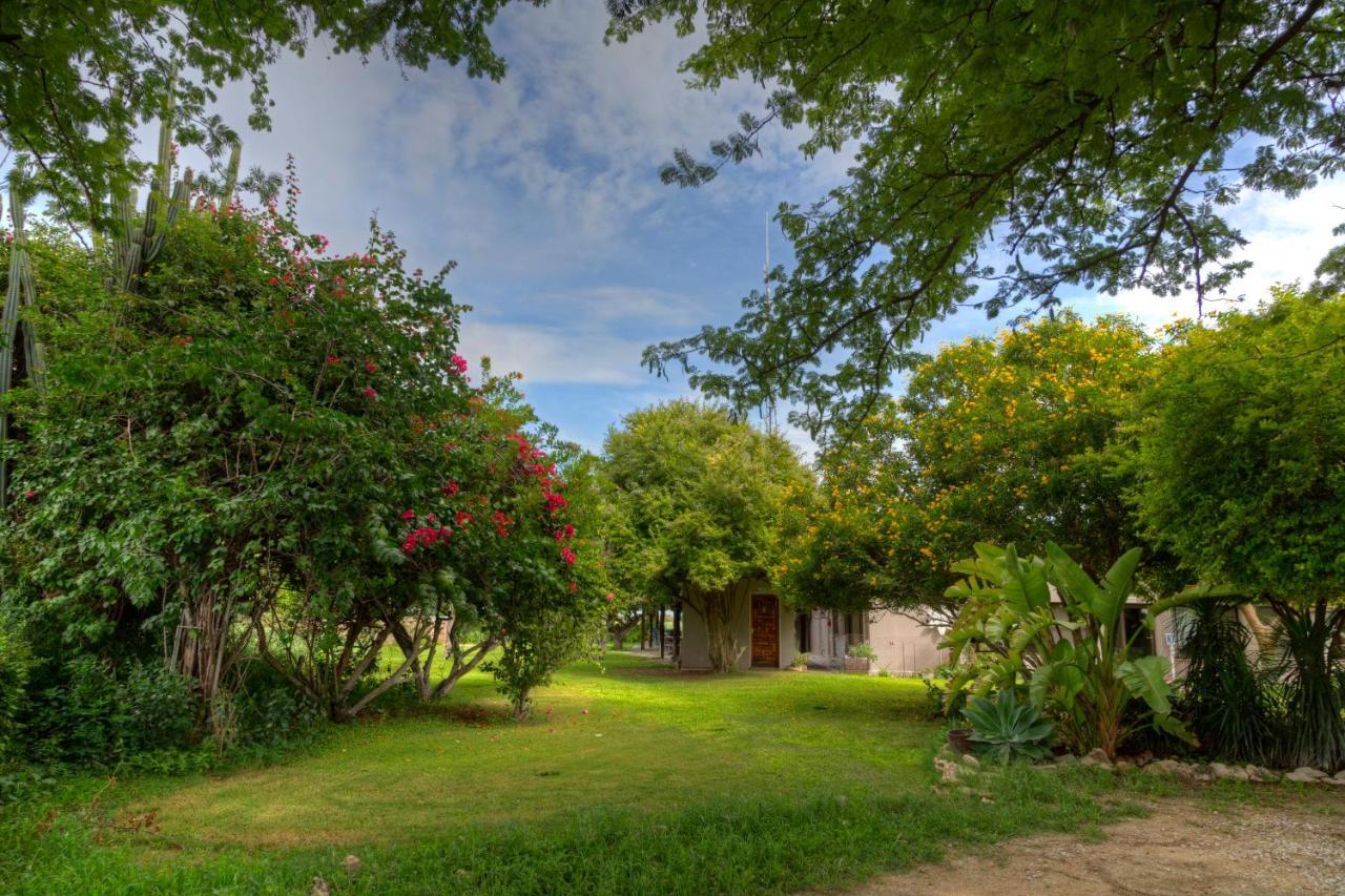 Khoi-Khoi Guesthouse Otavi Екстер'єр фото